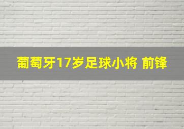 葡萄牙17岁足球小将 前锋